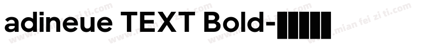 adineue TEXT Bold字体转换